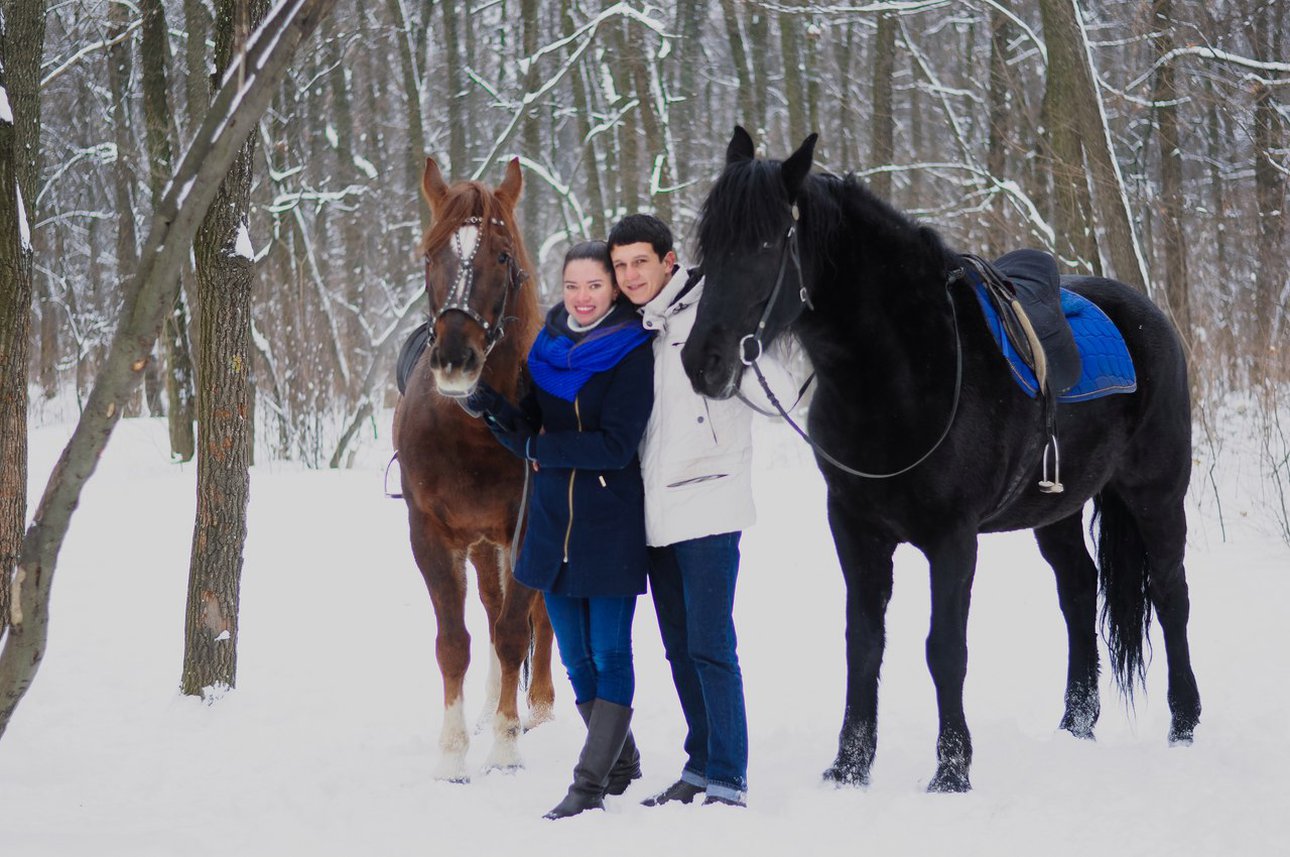 Отдых всей семьей: катание на лошадях для детей и взрослых